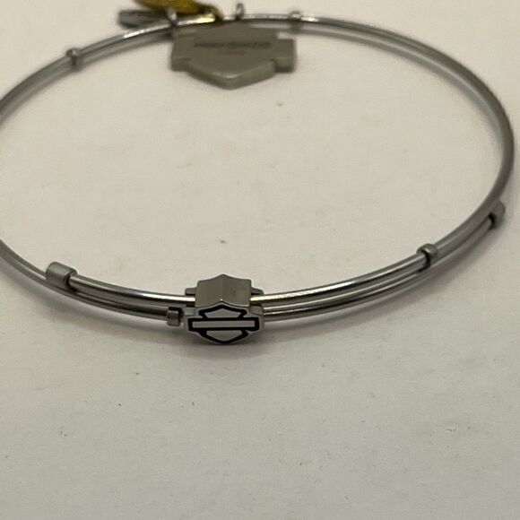 Harley Davidson, bracelet and anniversary Pin. - Picture 4 of 11